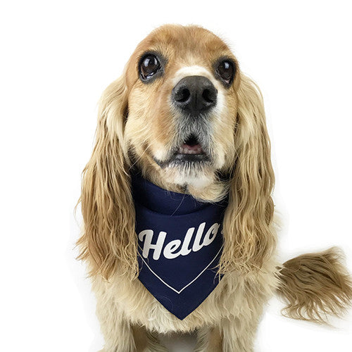 Milltown Brand - Multilingual 'Hello!' Dog Bandana - Navy - ShopFawU