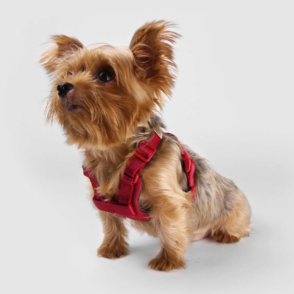 SPUTNIK - Comfort Dog Harness - ShopFawU