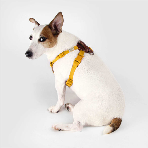 SPUTNIK - Comfort Dog Harness - ShopFawU